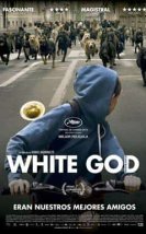 Beyaz Tanrı izle (2014)